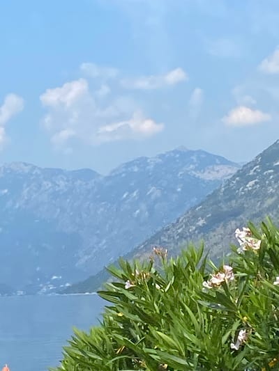 The image captures a scenic view of the Bay of Kotor from Dobrota, Montenegro. In the foreground, lush green foliage and delicate pink and white oleander flowers are in bloom. The middle ground features the calm, blue waters of the bay, with a distant coastline visible. The background is dominated by a series of majestic, blue-hued mountains, their rugged slopes shrouded in a soft atmospheric haze. The sky above is a clear, bright blue, dotted with a few fluffy white clouds. The overall scene is one of natural beauty and tranquility.