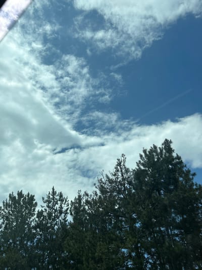 The image displays an upward-looking view dominated by a partly cloudy blue sky, with the tops of coniferous trees occupying the lower third. The sky features bright blue patches, particularly in the upper right quadrant, alongside scattered white and light gray clouds of varying density and shape. Some clouds appear as wispy streaks, while others form more substantial, diffused masses across the left and center portions of the sky. A faint, thin white line, possibly a contrail, is visible in the upper right blue expanse. A distinct, diagonal, bright light streak or reflection is present in the extreme upper-left corner of the frame, suggestive of a window edge or glare. The trees, appearing to be pines or firs, are dark green, with their needle-like foliage and branches clearly discernible against the brighter sky. No people, animals, or identifiable man-made structures are present within the frame, other than the potential reflection. The scene depicts a natural outdoor environment under bright conditions. No visual information within the image serves to confirm the specific location as Gorno Varshilo, Bulgaria.