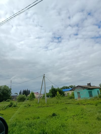 The image depicts a rural landscape in Verea, Russia, under a cloudy sky. The scene features a vibrant green field in the foreground, dotted with wildflowers. In the midground, several houses are visible, including a turquoise-colored building with weathered wood and closed shutters, and another house with a blue roof. A power line supported by a concrete pole stretches across the frame, and a telecommunications tower stands in the distance to the left. Trees, some dense and dark, others with lighter green foliage, frame the houses and the field. The overall impression is of a quiet, lived-in rural environment on an overcast day. There is no visible text in the image.