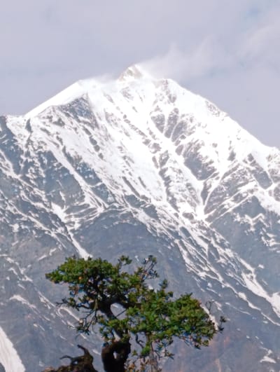 A snow-capped mountain dominates the background of this image. The mountain's peak is partially obscured by clouds and wind-blown snow. In the foreground, a lone green tree with dark branches stands against the rocky, snow-dusted slope of the mountain. The location is identified as Dhundi, India.