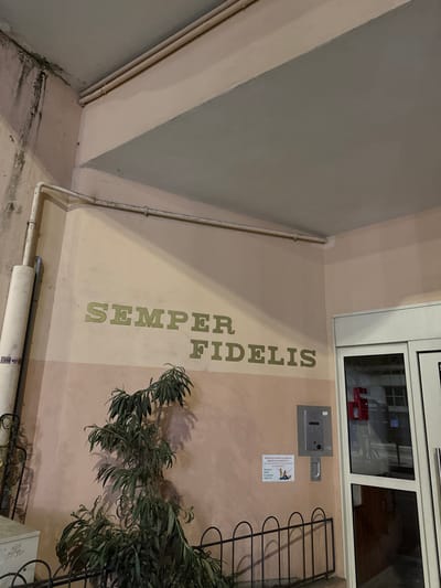 This image depicts the entrance area of a building in Nice, France. The scene is characterized by a two-tone wall, featuring a light peach upper section and a slightly darker peach lower section. The ceiling above is painted a light grey. Horizontally across the upper wall, the Latin phrase "SEMPER FIDELIS" is displayed in raised, gold-colored capital letters.
Along the left vertical corner and upper wall, a network of white pipes is visible, showing signs of dirt and water staining, particularly on the far left. A larger vertical pipe on the far left has "GAZ NAT" (Gaz Naturel) stenciled in blue near its base. In the foreground, a slender, leafy green plant stands behind a low, black wrought-iron fence with decorative arches.
To the right, a modern building entrance features glass double doors with white frames. Adjacent to these doors on the wall is a grey metallic intercom system with multiple buttons and a speaker/microphone. Below the intercom, a white rectangular sticker with blue text and a small illustration of peanuts is affixed to the wall. Reflections in the glass doors show internal building elements, including what appears to be a red fire alarm box and interior windows. The overall lighting suggests an artificial light source or an overcast exterior, illuminating the entrance area.