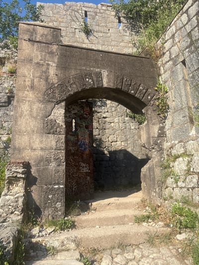 The image captures a view from above of a weathered stone staircase and an arched passageway, likely part of an ancient fortress or structure in Kotor, Montenegro. The stonework is rough-hewn and shows signs of age, with some areas covered in graffiti. A metal grate lies within the arched opening, also marked with spray paint. Lush green vegetation sprouts from cracks and crevices in the stone walls, indicating an outdoor setting that is exposed to the elements. Sunlight casts strong shadows, suggesting it is daytime, likely mid-morning or afternoon given the angle. The overall scene evokes a sense of history and decay, with the graffiti adding a modern layer of human interaction to the ancient architecture. The blue sky is visible in the upper left corner.