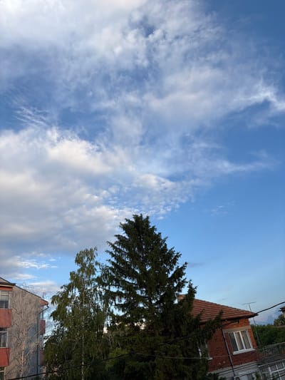 The image shows a view looking up at a blue sky with scattered white clouds. Part of a building with red brickwork and a few windows is visible on the right side. A large, dark green coniferous tree occupies a central position, partially obscuring the building. Another building, a light gray color, appears below the coniferous tree. The photograph seems to have been taken in an urban area with buildings and trees. It is possible that the image was taken in Kubrat, Bulgaria, based on the request.