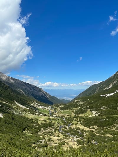 The image depicts a natural landscape dominated by mountains and a valley. The foreground is filled with dense, dark green coniferous trees and shrubbery. The midground reveals a lush green valley with patches of dry grass and a winding stream. Further into the valley, the terrain becomes flatter, with hints of distant buildings or structures visible. The background features rugged, rocky mountains on the left and a densely forested mountainside on the right, with a hazy, distant view of a plain or valley beyond. The sky above is a vibrant blue, punctuated by large, fluffy white clouds on the left and smaller, wispy clouds scattered across the rest of the sky. The scene appears to be a sunny day in a mountainous region. This location is a segment of the Pirin National Park, which is accessible from the city of Bansko, Bulgaria.