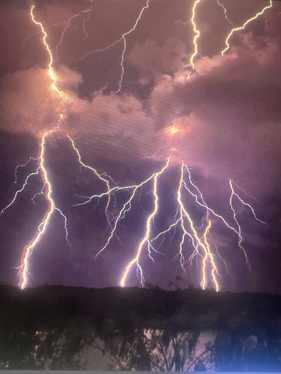 The image displays a severe lightning storm at night over Zelenyi Hai, Ukraine. The sky is dominated by dark, turbulent storm clouds, which are brightly illuminated from within by numerous lightning strikes. The lightning bolts are intensely bright, appearing as jagged and extensively branched streaks of white, yellow, and orange light with noticeable purple and blue fringes. Multiple strikes are visible across the frame, some appearing high in the clouds and others extending downwards towards the horizon. The lower third of the image shows a dark, undulating silhouette of a distant treeline or low hills. The foreground consists of indistinct, dark vegetation. There are no people, human-made structures, or artificial light sources clearly visible in the landscape. The scene depicts a powerful natural meteorological event.