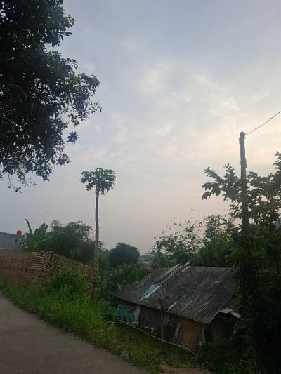 The image shows a rural scene with a small, single-story house made of corrugated metal sheeting, partially obscured by vegetation. The house is situated on a sloping hillside, with a dirt road leading up to it. There is a tall, bare-branched tree and a bamboo fence in the foreground. The sky is overcast and hazy, with some clouds visible. There are no people in the image, and no objects or actions are readily apparent. The location is Kecamatan Margaasih, Indonesia, based on the coordinates (latitude: -6.926, longitude: 107.536).