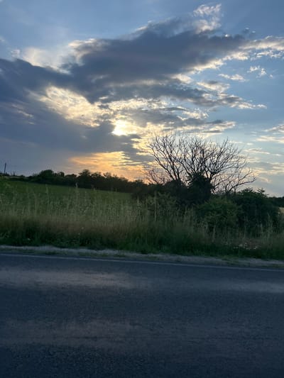 This image depicts a serene rural landscape, likely captured at either sunrise or sunset, with the provided context indicating Graf Ignatievo, Bulgaria.
The upper portion of the frame is dominated by a dramatic sky filled with an array of clouds. A warm, golden light from the sun, partially obscured by these clouds, radiates from the horizon, casting brilliant hues and visible rays that pierce through breaks in the cloud cover. Some clouds appear bright and illuminated, while others are darker and denser, creating a dynamic contrast of light and shadow across the expanse of blue sky.
Along the horizon, a line of dense green foliage and trees separates the sky from the ground. A prominent feature is a large, bare deciduous tree with intricate dark branches, silhouetted against the radiant sky, suggesting a season without leaves or that it is a dead tree. Below the tree line, a wide field of vibrant green grass, interspersed with tall weeds or wildflowers, stretches across the mid-ground.
To the right side of the image, a dark asphalt road runs vertically, bordered by a narrow, unkempt grassy verge. The road appears textured and blends into the shadowed parts of the scene.
No people, animals, or man-made structures other than the road are visible. The scene exudes a sense of tranquility and natural beauty, characteristic of a rural setting. The dramatic interplay of light and clouds is a notable detail, highlighting the time of day. There is no visible text in the image.