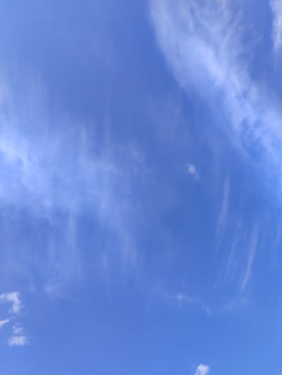 This media file displays a clear, vibrant blue sky with wispy white clouds scattered across it. The clouds are thin and elongated, appearing to be cirrus clouds, suggesting a fair weather day. There are a few very small, dark specks in the sky, which could be birds or insects, but are too indistinct to identify with certainty. The lighting suggests it is daytime, likely mid-morning or afternoon, given the bright, even illumination of the sky. There are no visible structures or land features, indicating an unobstructed view of the sky, possibly from an open area or looking directly upwards. The scene evokes a sense of openness and tranquility. No text is visible in the image.