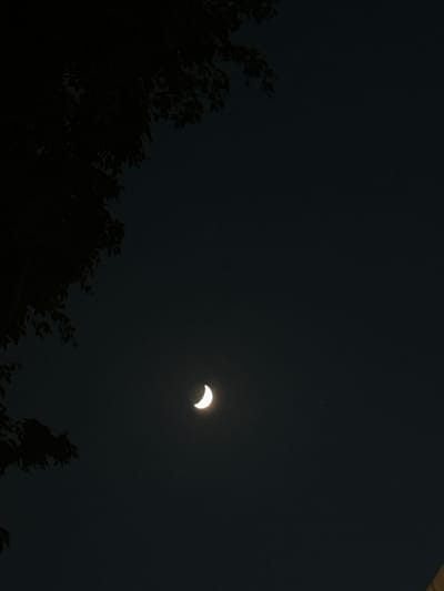 A crescent moon is visible in a dark night sky. The moon is illuminated on its right side. In the upper left quadrant of the image, the silhouette of tree branches with leaves is visible against the sky. The scene appears to be outdoors, likely in a park or natural area, given the presence of trees. There are no people or man-made structures immediately apparent in the frame. The image has a slightly grainy texture, typical of night photography. The location is identified as Torremolinos, Spain, but no specific landmarks or characteristics of that city are visible within the image itself.