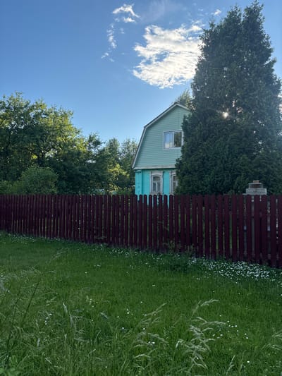 The image captures a view of a traditional wooden house with light blue siding and white trim, situated behind a dark red, horizontal plank fence. The house appears to be nestled among lush green trees, with a large evergreen tree dominating the left side of the frame and smaller deciduous trees to the right. The sky is a clear, bright blue with a few fluffy white clouds.

The foreground is filled with vibrant green grass, interspersed with small white wildflowers and taller, wispy grass stalks. Sunlight filters through the dense foliage of the evergreen tree, casting dappled light on the house and fence. The overall scene evokes a peaceful, rural atmosphere, likely during a sunny daytime in the summer or late spring.

There are no people or animals visible in the image. The house seems to be a residential dwelling. A small detail on the house, "3-38" is visible in white text above a window. The image is oriented vertically, suggesting it might have been taken with a mobile phone.

The setting appears to be a backyard or a garden area adjacent to a house, with a focus on natural elements like trees, grass, and flowers. The presence of a fence suggests a boundary for the property. The location context provided, Мещёры, Russia, places this scene within a specific geographical region known for its natural landscapes.