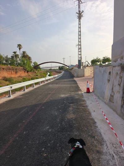This image depicts a paved path with a metal guardrail running alongside a dry stream bed. Palm trees and other vegetation are visible on the left side of the path, with a red arched bridge spanning the stream in the background. A tall electrical pylon stands prominently on the right, with a "20" speed limit sign visible on a concrete barrier. A traffic cone and red and white striped tape are also present near the barrier. In the foreground, the hindquarters of a black and white dog on a leash are visible, facing away from the camera and towards the path. The scene appears to be in a semi-urban or rural area. Based on the context provided about Picassent, Spain, this path could be a recreational trail or a newly developed area in the outskirts of the city, possibly incorporating elements of urban infrastructure alongside natural landscaping. The time of day appears to be late afternoon or early morning due to the soft lighting.