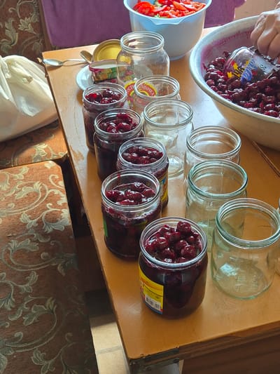 The image depicts a close-up, overhead view of a wooden table laden with jars of cherries and empty glass jars, set against a backdrop of a floral-patterned upholstered chair and a purple fabric. The scene appears to be in a domestic setting, possibly a kitchen or dining area, given the presence of jars and what looks like homemade preserves.

The table itself is a warm, light brown wood with visible grain and some wear marks, particularly along the edge. To the left, a white plastic bag is partially visible. A silver spoon rests on the table near a small white plate with two lids, one gold and one with a colorful pattern.

The primary subjects are the jars. Several glass jars are filled with dark red cherries, some with the juice pooling at the bottom, while others appear to be empty, awaiting filling. The cherries are plump and look fresh, with some still showing their stems. The glass jars vary in size and design, with some having clear glass and others appearing to have a slight greenish tint. Labels are visible on some of the filled jars, with one displaying a yellow and blue design and Cyrillic text.

In the background, a light blue plastic bowl contains chopped red vegetables, possibly tomatoes. To the right, a larger white bowl, also containing dark red cherries, is being handled by a person's hand, partially visible, suggesting the process of filling the jars or preparing the cherries. The hand is fair-skinned and is holding a small glass object, possibly a measuring cup or another small jar, and is scooping cherries from the large bowl into one of the waiting jars.

The lighting in the image is natural and appears to be coming from the right, casting soft shadows on the table. The overall impression is one of a home-based food preservation activity, likely canning or preserving cherries for later use. The setting suggests a warm, perhaps late summer or early autumn day, conducive to such activities.

The image does not contain any specific markers indicating the city of Sozonivka, Ukraine.