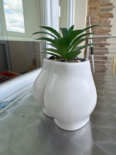A high-angle, indoor shot shows a white, anthropomorphic flowerpot with a succulent-type plant, sitting on a shiny, gray surface, possibly a countertop or windowsill. Small black pebbles are visible in the pot around the base of the plant. The plant has multiple pointed, green leaves. In the background, a window is visible, reflecting a cloudy sky, and a brick-patterned wall is visible in the distance. A metal ladder is also partially visible in the background. The scene is generally well-lit. The image doesn't provide any identifiable information to confirm that it was taken in Gorna Oryahovitsa, Bulgaria.