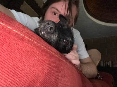 A person and a dog are visible in this upside-down close-up shot, where the person's face is partially obscured. The person has long, dark hair. Their skin appears fair. Only one eye is visible. A small, black dog with a grey muzzle is close to the person's face. The dog's nose is prominent, and the dog is looking up at the camera. The person and the dog are under a bright red, rough-textured cushion. The person is wearing a white shirt. The setting is indoors, near a floor with dark and light textures, and a woven basket. The location is undetermined.