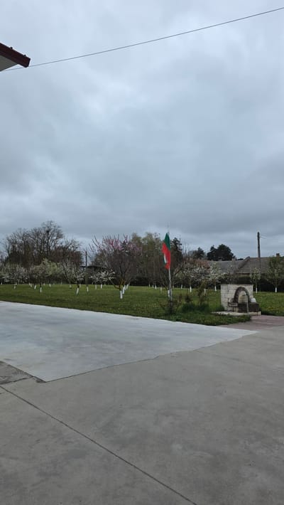 This image depicts an outdoor, rural or village scene under a uniformly overcast, light gray sky. In the midground, a Bulgarian flag, identifiable by its horizontal white, green, and red stripes, flies from a flagpole in a lush green lawn. The lawn is bordered by various trees and shrubs, some bare, others adorned with delicate white and pink blossoms, suggesting the season is spring.
To the right, a wide concrete path or driveway occupies the foreground, featuring visible seams and minor cracks. In the background, behind the flag and foliage, a traditional house with a dark tiled roof and stone or stucco walls is visible. Adjacent to the house stands an old stone structure, possibly a well or a decorative fountain. A utility pole with wires runs close to the house and extends towards the left.
A power line or cable stretches diagonally across the upper left quadrant of the sky. No people or specific activities are depicted, giving the scene a quiet and still atmosphere. The cloudy weather suggests a mild, possibly cool, daytime. The presence of the Bulgarian flag and the traditional architecture align with the provided location context of Senokos, Bulgaria. There is no visible text in the image.