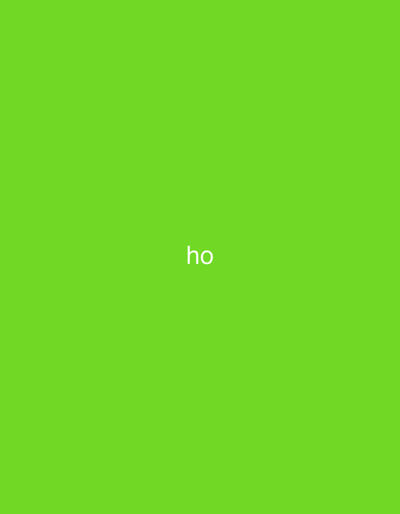 The scene displays a static, uniformly saturated lime green background. Precisely centered on this monochromatic field is the two-character string "ho," rendered in plain white, sans-serif typography. No individuals, discernible physical objects beyond the text, or environmental features such as landscapes, buildings, or specific settings are present. No actions or interactions are depicted. While the image itself offers no visual cues for geographic identification, the described context for this scene is Dar Bouazza, Morocco.