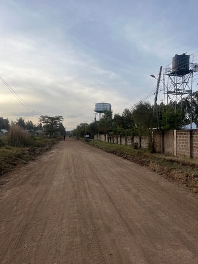 A long, dirt road stretches into the distance. A brick wall runs along one side, separating the road from green vegetation and trees. Power lines stretch across the sky above the wall and trees. Two large water tanks stand on metal scaffolding in the distance. The sky is overcast and partly cloudy. A solitary person is walking along the road.
