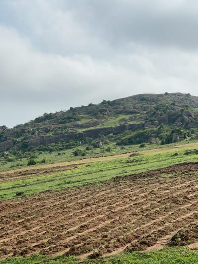 The image shows a landscape of rolling hills in Ropp, Nigeria, under a cloudy sky. The foreground is dominated by agricultural fields, with neatly plowed rows of dark soil, hinting at newly planted crops. Beyond these cultivated areas, the land transitions to green pastures, and then ascends into a rocky, verdant hillside. The hillside is characterized by large, scattered boulders and a sparse cover of green vegetation and scattered trees. The overall impression is of a rural, agricultural setting with a rugged natural backdrop. No people or animals are visible in the image.