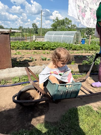 In Уральское, Russia, on a sunny day, a toddler with curly blonde hair is playing in a wheelbarrow. The child is wearing a grey t-shirt with cartoon characters and is seated inside a green plastic crate. The wheelbarrow is old and rusted, with a worn tire. In the background, a garden is visible with rows of plants, a greenhouse, and a wooden fence. A person's legs are also visible on the right side of the image, wearing purple clogs and holding a tool. A piece of fabric with a floral pattern is hanging in the upper right corner. The scene depicts a casual outdoor activity in a rural setting.