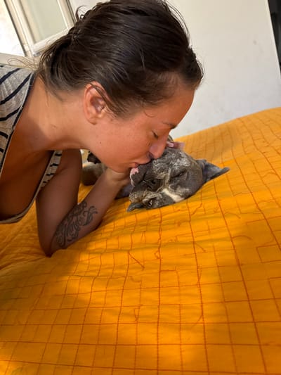 This media file is a horizontal, medium shot photograph of a person kissing a dog. The person, whose face is partially obscured, has dark hair and is wearing a striped top. Their left arm, which is visible, has a tattoo. The dog, which appears to be a brindle-colored pit bull terrier, is lying down with its eyes closed and its face turned towards the person. The background is a bright orange textured fabric, possibly a blanket or bedspread, with a grid pattern of red stitching. The lighting suggests it could be daytime. The setting is intimate and appears to be indoors. The overall emotion conveyed is one of affection between the person and the dog. There is no visible text in the image.