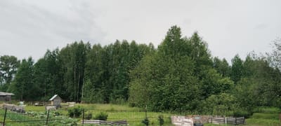 The image shows a rural scene, likely a backyard or garden area, adjacent to a dense forest. The foreground features a metal fence, behind which are several garden beds, some with corrugated metal edging. Further back, there are two small wooden structures, one appearing to be a shed, and a horse-drawn cart without a horse. A large, dense forest of mixed deciduous and coniferous trees forms the background, with a pale, overcast sky above. The overall impression is one of a natural, somewhat untamed environment at the edge of a settlement. This location is identified as being in the city of Volchansk, Russia. There are no people or animals visible in the image.