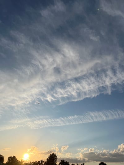 The image shows a sunset scene over Ilavche, Ukraine. The sun is setting on the left side of the frame, casting a warm golden glow on the sky and clouds. Silhouetted trees line the bottom of the image. The sky is filled with wispy, cirrus clouds stretching across the frame, with some darker, more textured clouds near the horizon. A bird is visible in flight against the lighter clouds in the upper-left quadrant. The overall atmosphere is serene and natural.