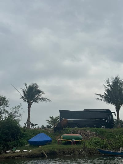A tall black bus parks near a riverbank under a cloudy sky, flanked by two palm trees swaying in the wind. A traditional Vietnamese basket boat sits nearby, along with a blue tarp covering an object on the grassy verge. A brown buffalo stands by the bus, and reflections ripple across the water's surface.