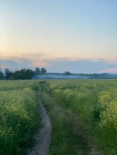 The image shows a winding dirt path through a field of tall green grass and yellow wildflowers. In the distance, there is a line of trees, with some power lines visible. A thin band of white smoke or fog stretches across the horizon behind the trees. The sky is a gradient of pale blue at the top, fading to a soft pink and yellow near the horizon, suggesting either sunrise or sunset. The scene is rural and appears to be located in Yuryatino, Russia. There are no people or animals visible in the image.