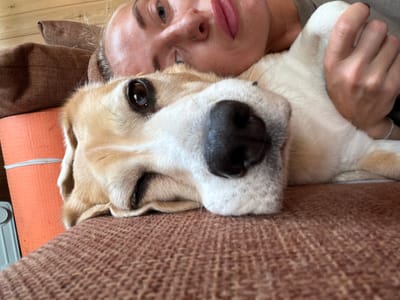 A young woman with blonde hair and makeup is lying down, resting her head on her arm, which is near a golden dog. The dog is also lying down, with its face close to the camera. The background shows brown pillows and a wooden wall. The scene appears to be indoors, possibly on a couch or bed. The overall impression is one of a peaceful moment shared between a person and their pet. There is no indication of the location being in Emel'yanovo, Russia.