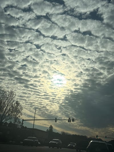 The image showcases an expansive sky filled with rows of rippling altocumulus clouds, their fluffy forms partially obscuring the sun. On the right side of the view are cars lining a street, partially hidden behind tree branches. Traffic lights and a building silhouette are also visible, grounding the scene in an urban or suburban setting, contrasting the vastness of the sky above.