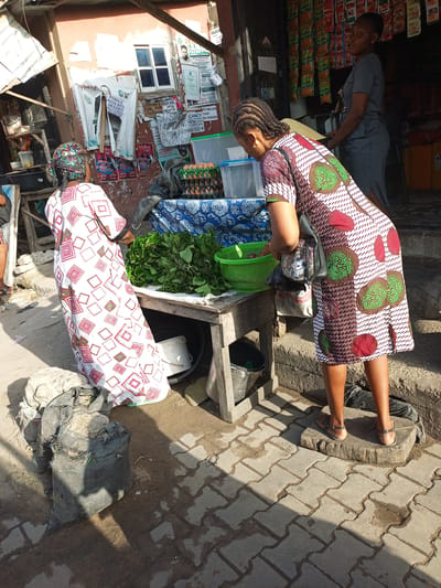In Satellite Town, Nigeria, a daytime street scene shows two women in patterned dresses at a vegetable stall. One woman, wearing a dress with a red and green pattern, stands on a weathered wooden block and reaches into a green plastic basket on the stall. The second woman, in a white dress with red squares, stands beside the stall. The stall displays a pile of leafy green vegetables. Bags and a white bucket are below the table. Various signs and posters are displayed on the wall behind the stall, including a "FEMALE ROOM MATE NEEDED" notice. A woman in a gray dress stands in front of a shop with various items displayed. The ground is paved with interlocking concrete bricks.
