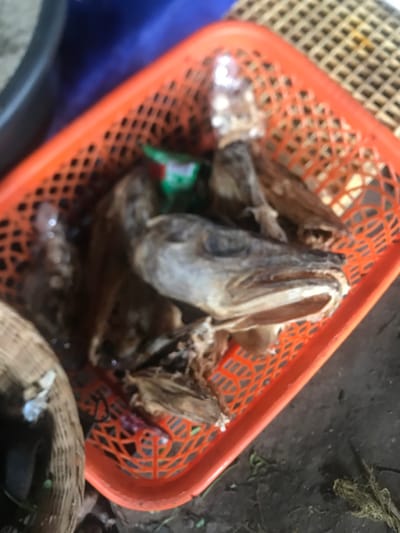 The image shows an orange plastic basket filled with dried fish heads. The basket is sitting on top of a brown woven basket. The scene is likely from an open-air market in Umudike, Nigeria, a city known for its agricultural and commercial activity. The fish heads are arranged haphazardly in the basket, and their dried, bony texture is evident. The lighting is dim, and the overall feel of the image is one of a simple, everyday occurrence in an outdoor market setting.