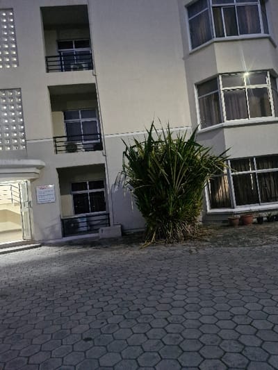 A low-angle view captures a modern building with large windows and balconies, adjacent to a tiled courtyard. The building is bathed in artificial light. A dense, rounded bush sits at the corner of the building, near an entrance with a sign. The courtyard's interlocking hexagonal tiles create a repeating pattern. The shot's orientation is slightly tilted.