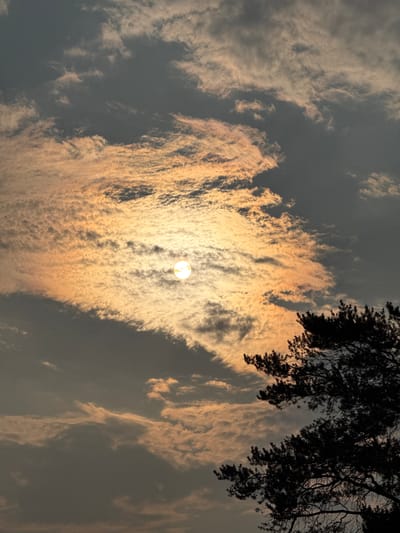 The image depicts a sky filled with dramatic clouds, illuminated by the sun, which is partially obscured by the cloud cover. The sun appears as a bright, circular orb, casting a warm, golden light on the textured clouds, giving them a peach or orange hue in places. The sky itself transitions from darker gray to lighter tones where the sunlight is most intense. In the upper right and framing the top of the image, silhouetted tree branches, likely from a conifer, create a dark contrast against the sky.
The scene suggests a time of day when the sun is low, likely sunrise or sunset, given the warm lighting and the dramatic cloud formations. The weather appears to be dynamic, with a mix of dark and brightly lit clouds. There are no people or man-made objects visible, and no text is present. The overall mood conveyed is one of natural beauty and the ephemeral quality of light and weather. The location context of Surgut, Russia, combined with the presence of trees, suggests an outdoor, possibly natural or semi-natural setting in a northern climate.