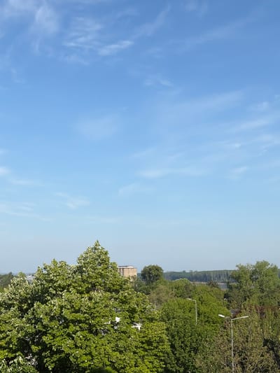 The image depicts a daytime scene in what appears to be Silistra, Bulgaria, evidenced by the architectural style of the buildings visible amidst the trees. The foreground features dense foliage, likely trees within a park or residential area. In the distance, a line of trees and a wide river, possibly the Danube, are visible, with the opposite bank appearing as a hazy line. The sky is predominantly blue with scattered cirrus clouds. Streetlights are scattered throughout the trees. No people are directly observable. The photograph seems to have been taken from a high vantage point.