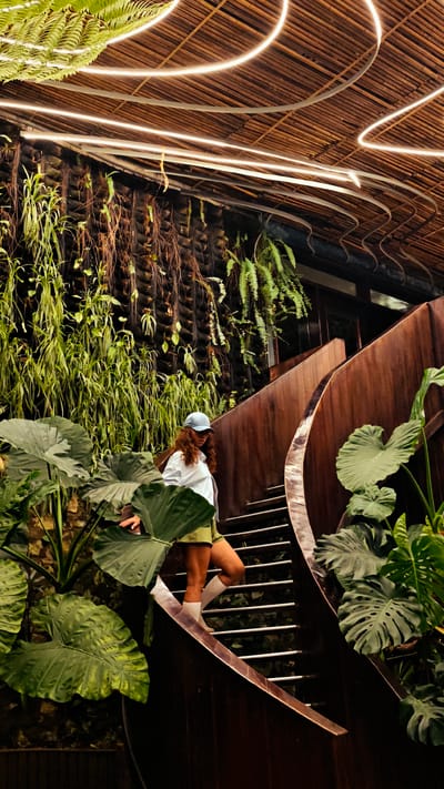 A medium shot depicts a young woman descending a set of modern stairs in what appears to be an interior garden or lushly decorated indoor space. The location is Sa Pa Ward, Vietnam.
The woman is wearing a light-colored, button-down shirt, khaki shorts, white socks, and a light blue baseball cap, and she has curly reddish-brown hair. She is mid-stride on the stairs, with her right leg advanced.
The stairs are contemporary in design, with dark wood framing and metal treads. The stairwell is heavily decorated with tropical plants, including large-leaved foliage on either side of the stairs and a green wall adorned with hanging plants in the background.
Above, the ceiling has a bamboo-like texture with modern strip lighting. The scene is partially shaded, which creates a warm, slightly dimmed atmosphere.