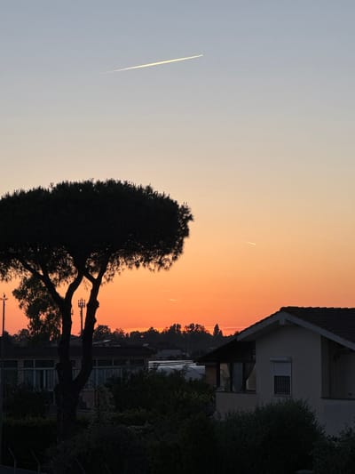 The image shows a sunset scene in what appears to be Aprilia, Italy. The sky transitions from a pale blue-grey on the left to a vibrant orange on the right, indicative of the setting sun. A prominent dark silhouette of an umbrella pine tree stands in the foreground. Behind the tree and towards the right, a house with a visible roofline, windows, and a satellite dish is partially obscured by foliage. Power lines are also visible among the trees. Vapor trails from airplanes are streaking across the sky in different directions. The overall scene suggests an urban or suburban setting at dusk.