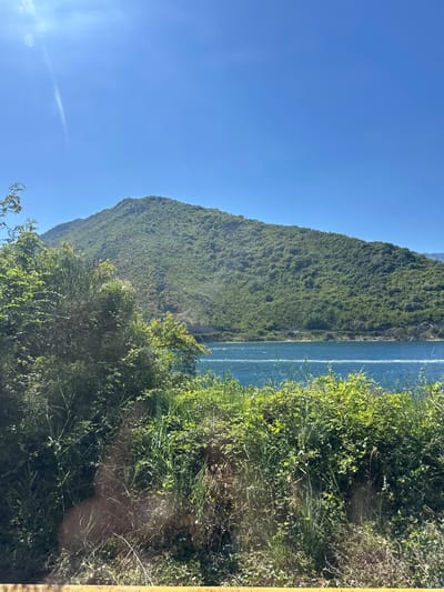 A wide shot captures a verdant, tree-covered mountain rising from the azure waters of the Bay of Kotor, near Lepetane, Montenegro. The sky above is a clear, bright blue, with a faint lens flare visible in the upper left quadrant. The foreground is dominated by dense, green foliage, including tall grasses and leafy bushes, suggesting a natural, untamed landscape. The water is a vibrant blue, with small ripples indicating a gentle breeze. A thin strip of land, possibly a road or path, is visible along the base of the mountain, and a few scattered structures can be seen on the mountain itself, indicating human presence in the otherwise wild scenery. The overall impression is one of natural beauty and tranquility.
