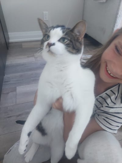 A young person, with blonde hair and a striped shirt, smiles widely while holding a cat. The cat, primarily white with grey and black markings on its head and tail, is looking up and to the left. The background shows a grey wall and light-colored wood-plank flooring. This image does not contain information about the location in Toronto, Canada.