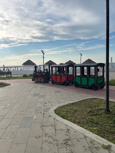 The image shows a miniature train on a paved walkway, with grass and a streetlamp in the background. The train has two carriages, one green and one red, and appears to be carrying passengers. In the distance, the sea is visible, along with a cloudy sky. The time of day appears to be late afternoon or early evening, as the light is soft and the sky is a pale blue with white clouds. The setting appears to be a coastal town or resort, possibly in Ukraine given the provided location context.
The train itself is a notable object, with a rustic, almost toy-like design. The green carriage has text visible on its side: "narbex". The red carriage is plain. The people in the train are mostly obscured by the windows, but appear to be relaxed and enjoying the ride. One person is driving the train.
The walkway is made of grey paving stones, with a border of grass and concrete. The grass is somewhat overgrown and there are some dried leaves and debris scattered on the walkway. There are also some streetlights visible, suggesting this is a public area.
The overall mood of the image is peaceful and leisurely. The presence of the train and the proximity to the sea suggest a holiday or recreational setting. The soft lighting and the presence of birds flying in the distance contribute to the serene atmosphere.