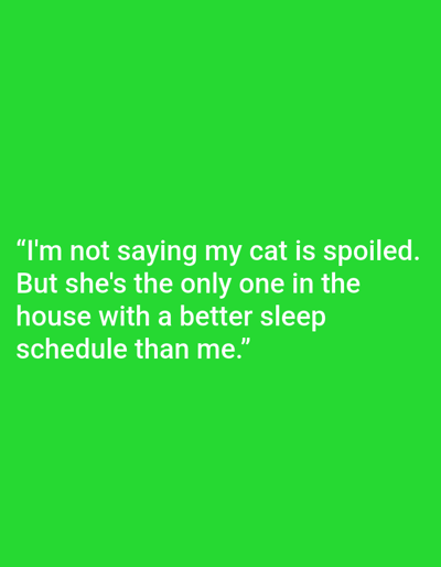 The image is a photograph of a green background with white text. The text reads: "I'm not saying my cat is spoiled. But she's the only one in the house with a better sleep schedule than me." There are no people, subjects, objects, or actions depicted in the image. The location of Kępno, Poland is not relevant to the image content.