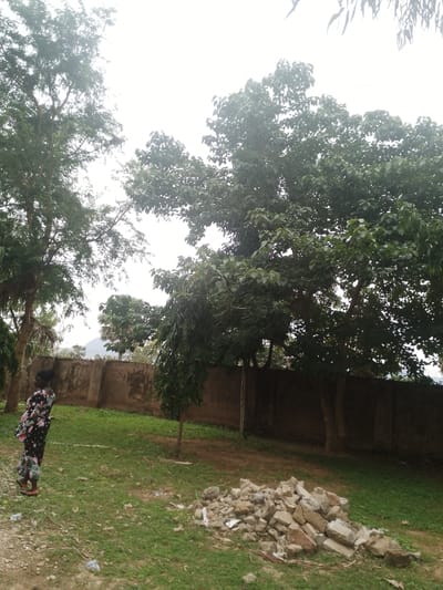 In Kuson, Nigeria, a woman stands facing left in a grassy yard near a stucco wall. She is wearing a black dress with a floral pattern in shades of pink, green, and white. Her hair is pulled back in a bun. In the foreground, to the right of the woman, is a pile of light gray rocks. A dirt path runs along the left side of the yard, and more grass extends to the right. Behind the woman and the yard, several trees with dense green foliage are visible, with a light-colored, overcast sky as the background.