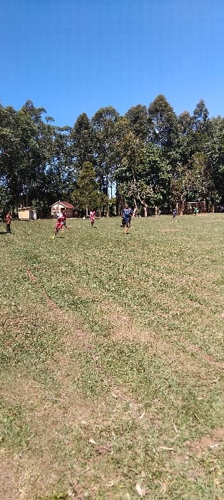 The image shows a grassy field with five people playing soccer in Bungoma, Kenya, located at 0.554 latitude and 34.773 longitude.  The people are dressed in casual clothing, with two wearing red shirts and two wearing blue shirts, one of whom is a woman.  There is a row of trees in the background.  The sky is clear and blue.  The ground is a mixture of grass and dirt, with some leaves scattered on the surface.  The field is relatively flat and there are no other objects present.