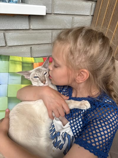 In Abakan, Russia, a young girl with blonde hair is shown embracing and kissing a light-colored cat with blue eyes. The girl is wearing a blue mesh top over a white t-shirt. The cat is being held close to the girl's face, and its head is tilted slightly upwards. The background consists of a brick wall, a colorful patterned cushion, and a wooden surface.