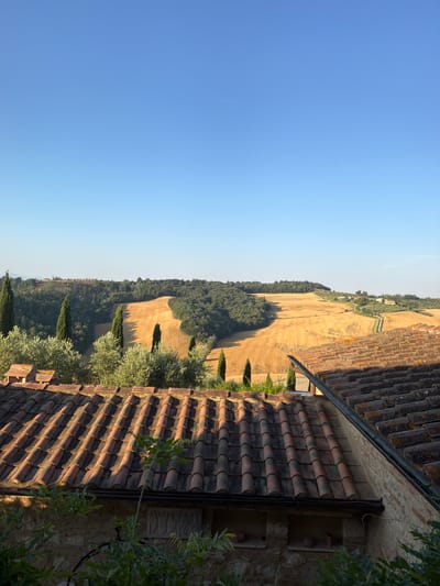The image depicts a picturesque Tuscan landscape from a rooftop vantage point in Asciano, Italy. In the foreground, aged terracotta roof tiles of buildings dominate the lower section of the frame, some showing signs of wear and moss. Beyond the rooftops, a gentle slope descends into a valley. The mid-ground features rolling hills covered in a mosaic of vibrant green trees and a large, golden-hued field, likely harvested wheat or barley, which curves through the landscape. Scattered cypress trees punctuate the scene, adding vertical accents. In the distance, more rolling hills are visible, dotted with greenery and what appear to be farmhouses or villas. The sky above is a clear, brilliant blue, suggesting a sunny day. The overall impression is one of serene rural beauty, characteristic of the Tuscan countryside.