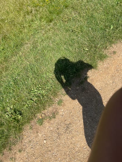 The image depicts a ground-level view of a grassy area adjacent to a dirt path. The grass is green and appears somewhat overgrown in places, with scattered small yellow wildflowers. The dirt path is composed of sand and small pebbles. A distinct shadow is cast on the ground, originating from the top right of the frame and extending downwards and to the left. The shadow is the silhouette of a person holding a camera, evident from the shape of a hand and camera body. The sun is clearly visible casting a strong shadow, indicating it is likely a sunny day. The overall scene suggests an outdoor setting, possibly a park, trail, or garden path in Maidstone, United Kingdom. The lighting implies it is daytime, most likely mid-morning to afternoon given the length and angle of the shadow. No text is visible in the image.