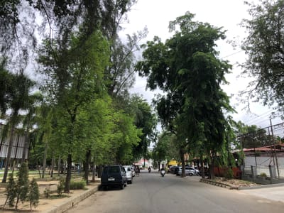 The image depicts a street scene in Langsa, Indonesia, likely on a cloudy day given the overcast sky. The street is lined with numerous trees, some with dense green foliage and others appearing more sparse. On the left side of the road, there is a sidewalk area with some smaller trees and bushes. A dark-colored van is parked along the curb. Further down the street, there are other vehicles, including cars and motorcycles. Some people are visible, either walking or riding motorcycles. Buildings can be seen in the background, with one structure having a red tiled roof. The overall impression is of a residential or semi-commercial street with a significant amount of greenery.