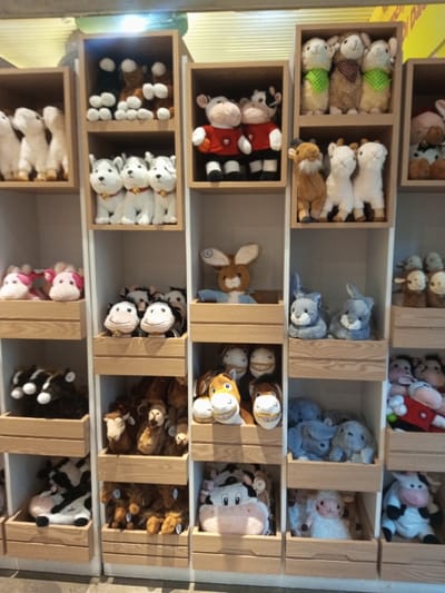 This image depicts a structured display of numerous stuffed animals within an indoor retail or exhibit setting located in Tân Kỳ Commune, Vietnam. The scene is dominated by a wall-mounted shelving unit composed of multiple vertical stacks of light-colored wooden cubbies and open compartments.
Across the top section, various plush toys are arranged: a group of white quadrupeds in one cubby, dark brown and black animals in another, two red-shirted white and black cows in a third, and multiple cream-colored sheep or alpacas, some with polka-dot scarves, in further compartments.
The mid-section features three white husky-like dogs with red collars and bells, two smiling spotted cows, a large brown rabbit in blue overalls, and pairs of grey rabbit or rodent plush toys. Additional compartments in this section and below contain a dense assortment of stuffed animals including pink pigs, black and white cows, brown sheep, camels, and horses, many featuring exaggerated smiling mouths.
The lower sections continue the thematic grouping, displaying more black and white cows, a wide variety of brown-toned animals, and larger individual plush figures such as a big white and pink cow. The stuffed animals are uniformly presented, suggesting an organized retail or display environment. There are no people visible, and no actions or interactions are occurring; the scene is static.