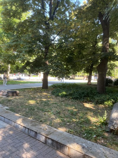 The image depicts a park area in Haskovo, Bulgaria, on a sunny day. The foreground features a paved walkway made of interlocking grey bricks, bordered by a low concrete wall. Beyond the wall, a patch of dry grass and scattered leaves covers the ground. Several large trees with dense green foliage dominate the midground, casting dappled shadows. In the background, a paved path is visible, with a few individuals walking or standing. To the left, a person wearing a white top and patterned trousers stands facing away from the camera. Further back, a park bench is visible. The overall environment suggests a public urban park setting.