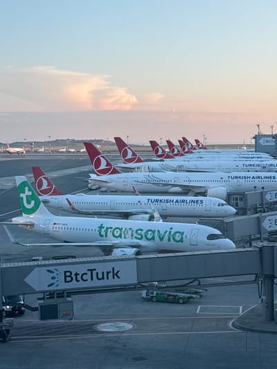 The image depicts a row of airplanes parked at an airport. Several planes bear the livery of Turkish Airlines, characterized by the red and white Turkish flag on the tail. One aircraft has the livery of Transavia, marked by green lettering and a stylized 't' on the tail. The scene is captured at what appears to be Istanbul Airport, located in Arnavutköy, Turkey. An airport gate structure features signage for "BtcTurk." Ground support equipment is visible near the planes.